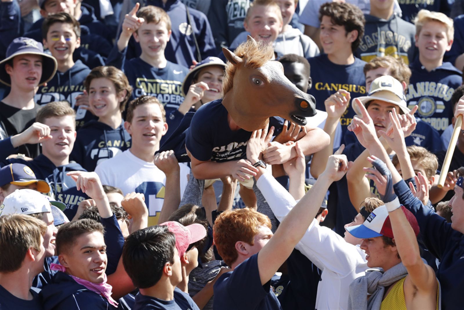 Canisius 55, St. Francis 13